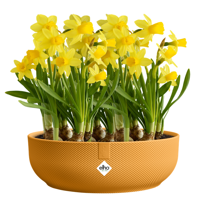 jazz bowl 28cm amber gelb